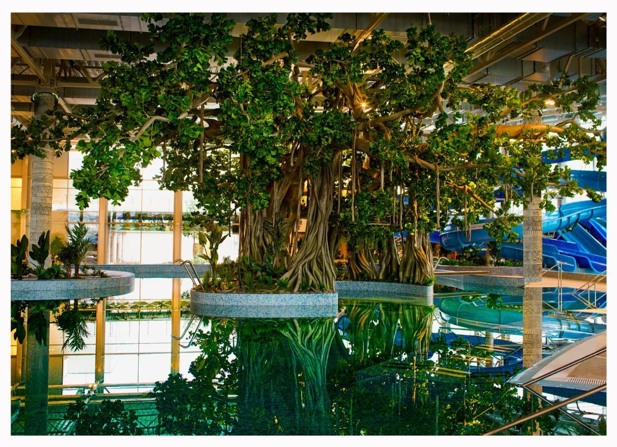 Amazonia Apartments Timișoara Zewnętrze zdjęcie